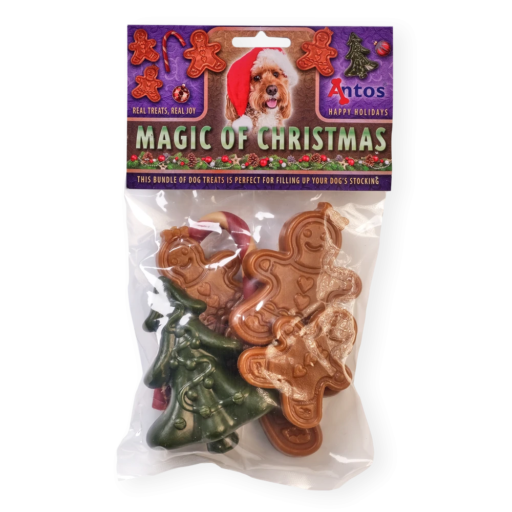 Magie del Natale 6 pezzi