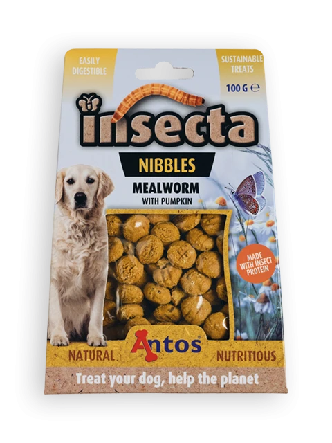 Insecta Nibbles Tarma della Farina & Zucca 100 gr