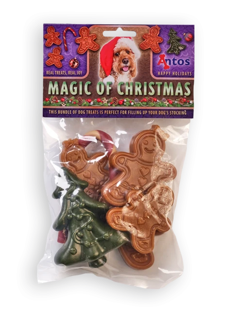 Magie del Natale 6 pezzi