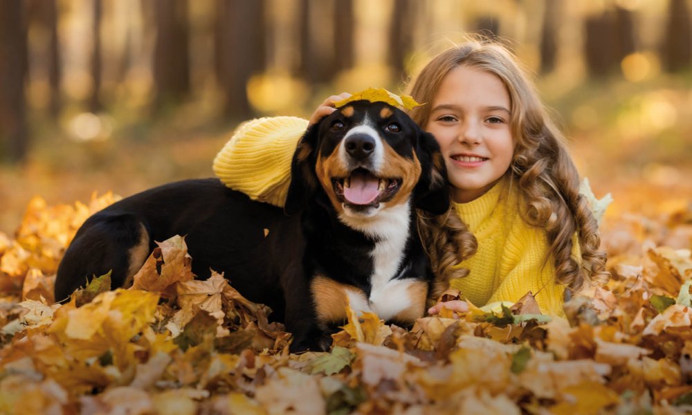 Snack di ispirazione autunnale per il tuo animale domestico