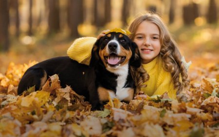 Snack di ispirazione autunnale per il tuo animale domestico